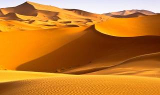 荒野求生撒哈拉沙漠