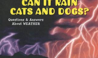 请问raincatsanddogs的由来 raincatsanddogs