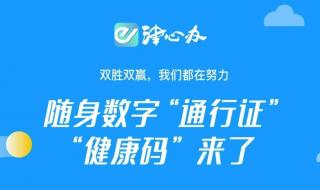 支付宝如何查询核酸检测的结果 核酸检测怎么查结果