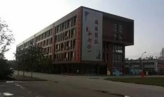 普通高等学校全日制应届什么意思 全日制普通高等院校